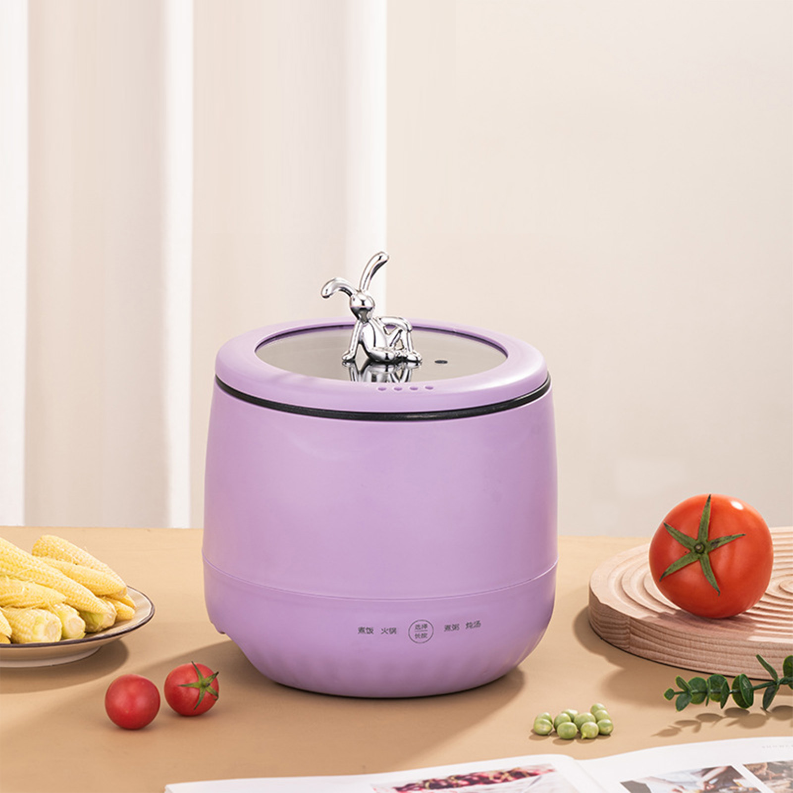 Smart Electric Mini Rice Cooke - Meal Prep Healthy recensie en prijs