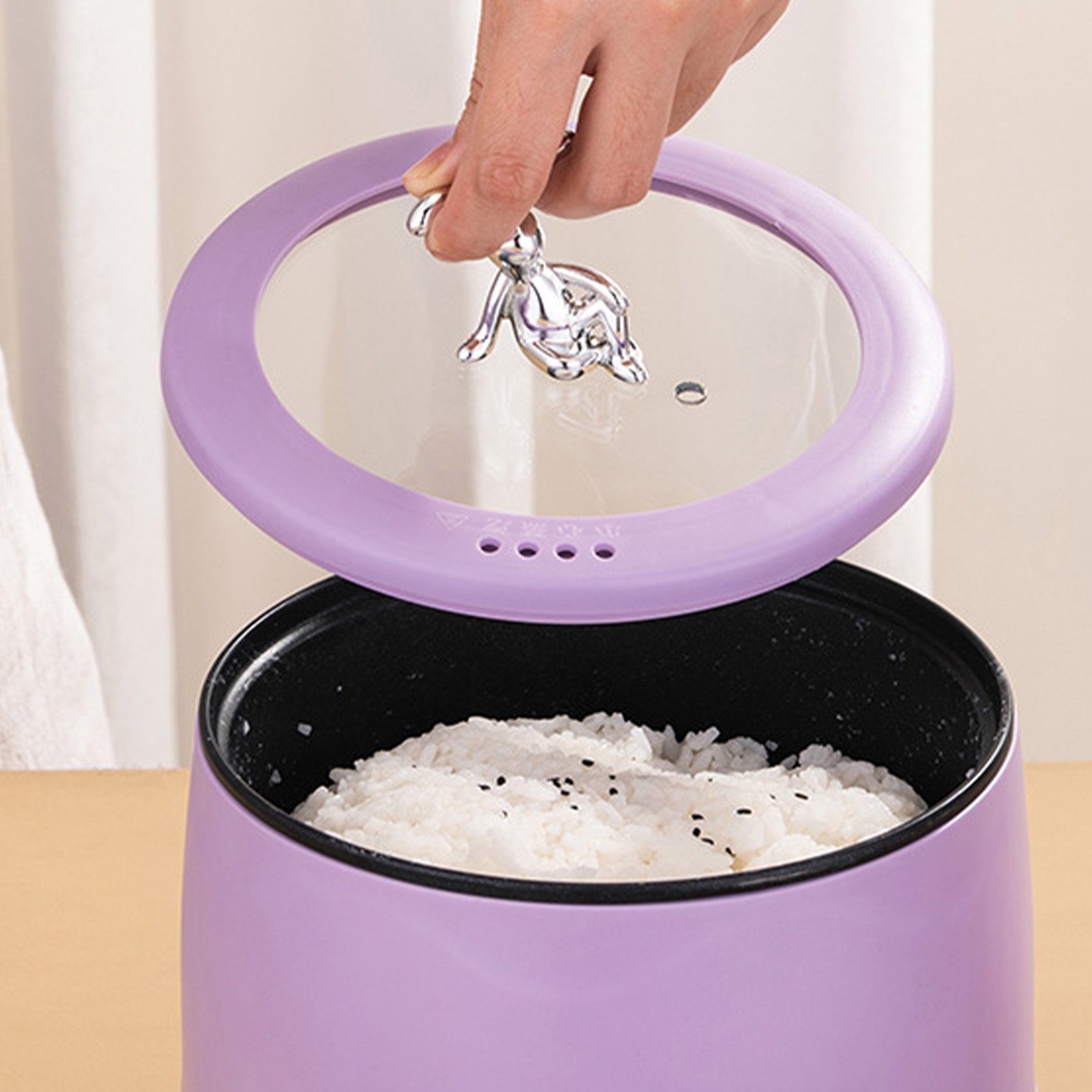 Smart Electric Mini Rice Cooke - Meal Prep Healthy recensie en prijs