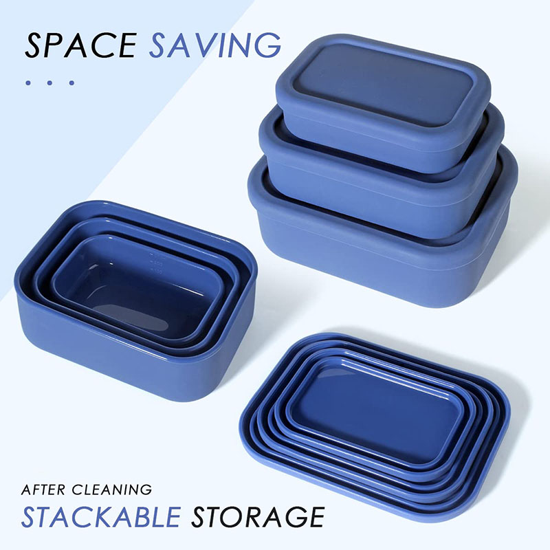 Leak-Resistant Bento Lunch Box - Meal Prep Container recensie en prijs