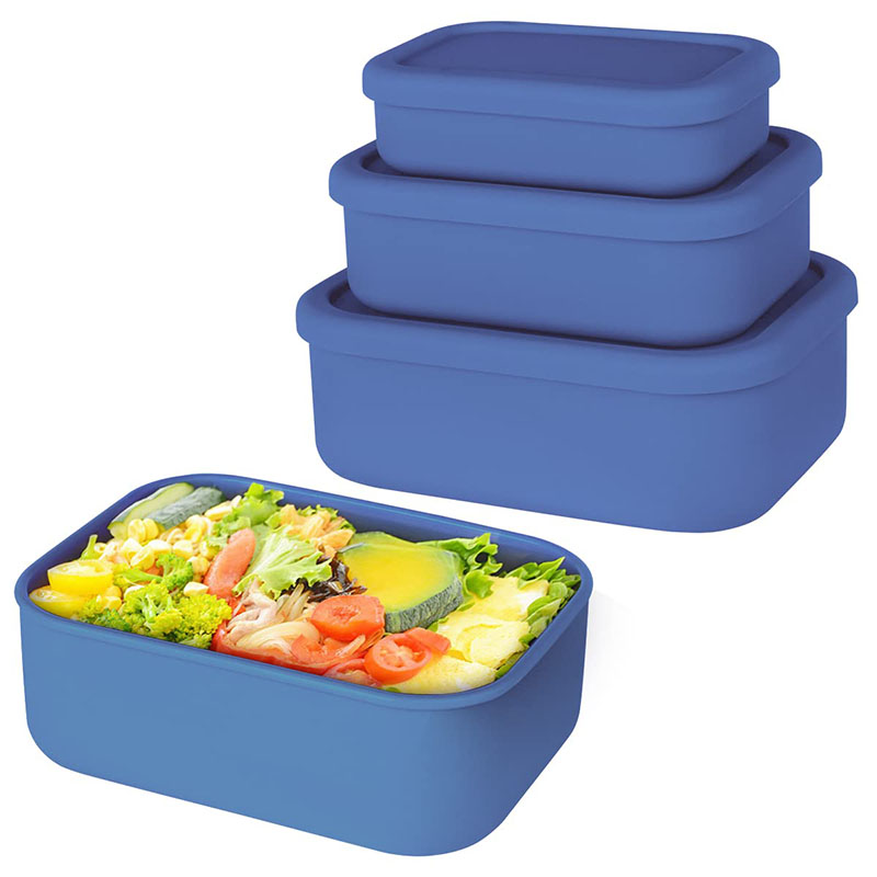 Leak-Resistant Bento Lunch Box - Meal Prep Container recensie en prijs