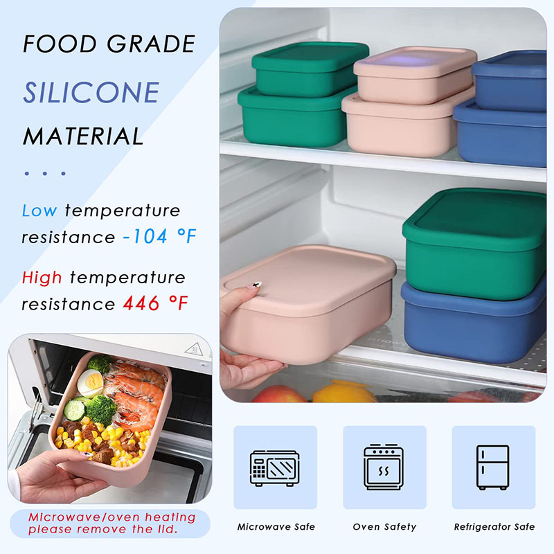 Leak-Resistant Bento Lunch Box - Meal Prep Container recensie en prijs